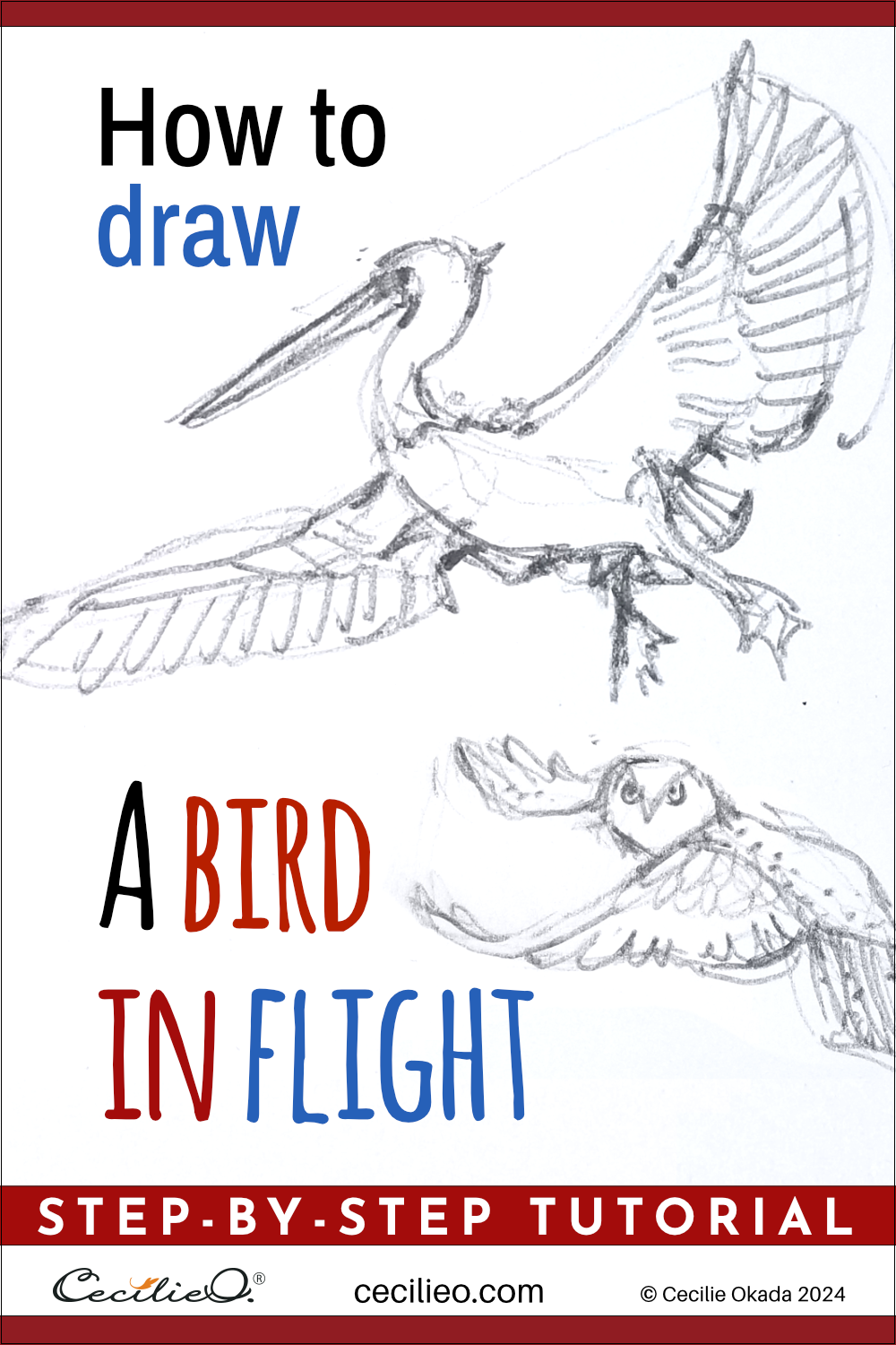 How to Draw a Bird in Flight