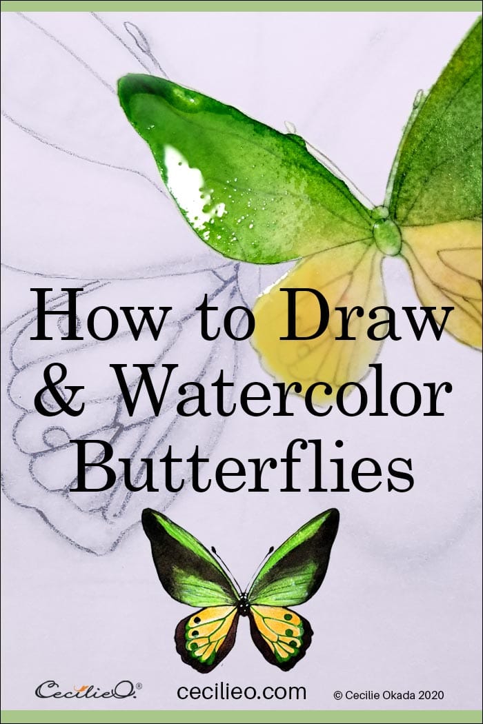 How to Draw & Watercolor Four Colorful Butterflies  Post feature image