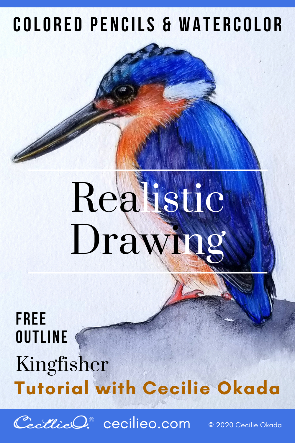 How to Draw Realistic: Kingfisher with Colored Pencils & Watercolor  Post feature image