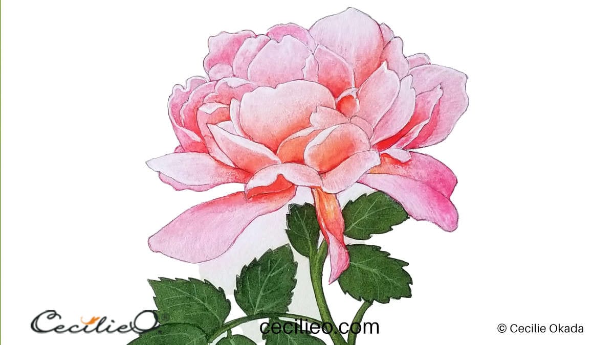 Peony Time (original watercolor painting, flowers) hotsell