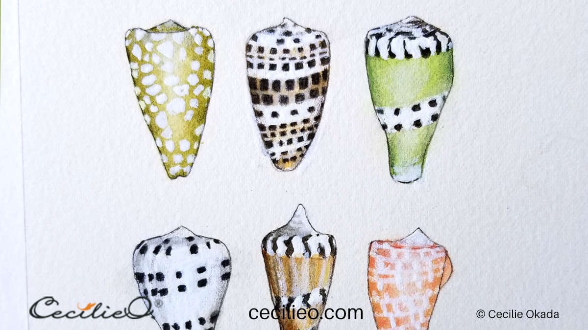 Watercolor Seashells Tutorial Learn From My Mistakes Watercolor Seashells Tutorial Learn From My Mistakes
