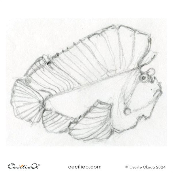 Sketching idea #12: Leaf Scorpionfish