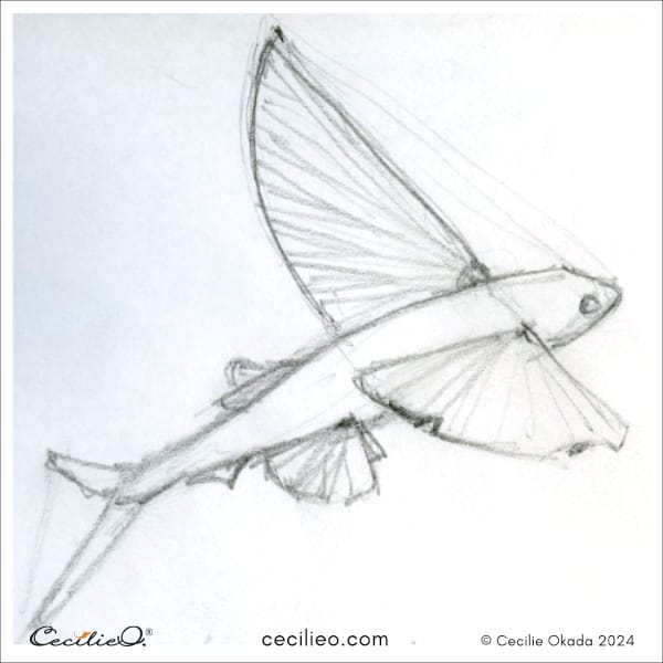 Sketching idea #15: Flying Fish