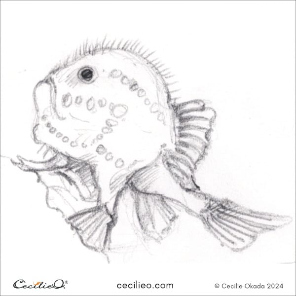 Sketching idea #16: Bright-Red Sea Toad or Coffinfish