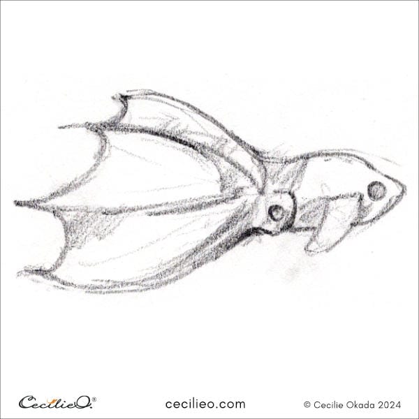 Sketching idea #20: Vampire Squid