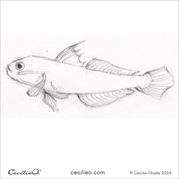 Sketching idea #3: Bluestreak Goby Fish