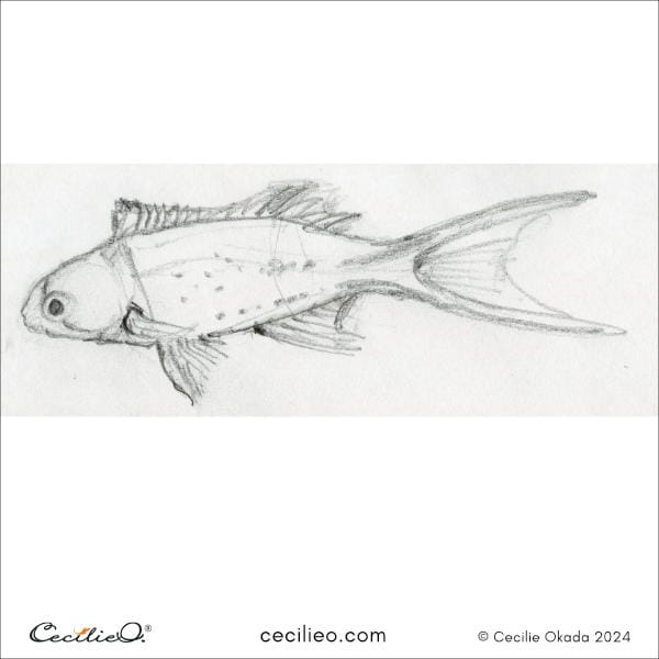 Sketching idea #5: Lyretail Hogfish