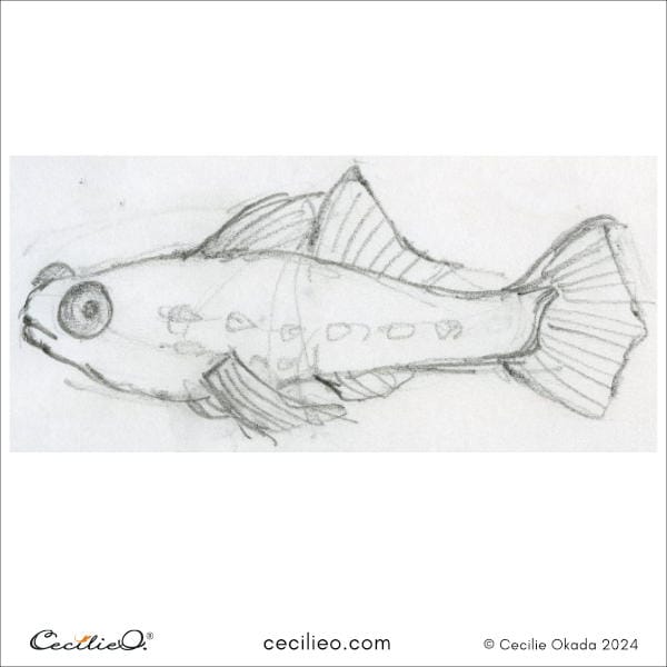 Sketching idea #7: Masked Goby Fish