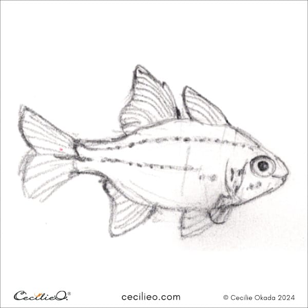 Sketching idea #9: Spotgill Cardinalfish