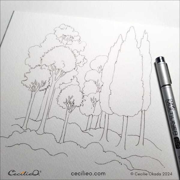 Drawing over the tree sketch with a waterproof fineliner