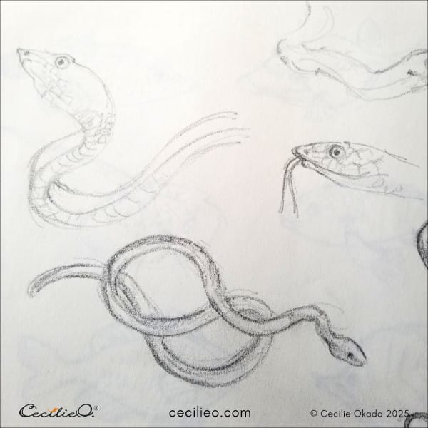 Snake sketch 2