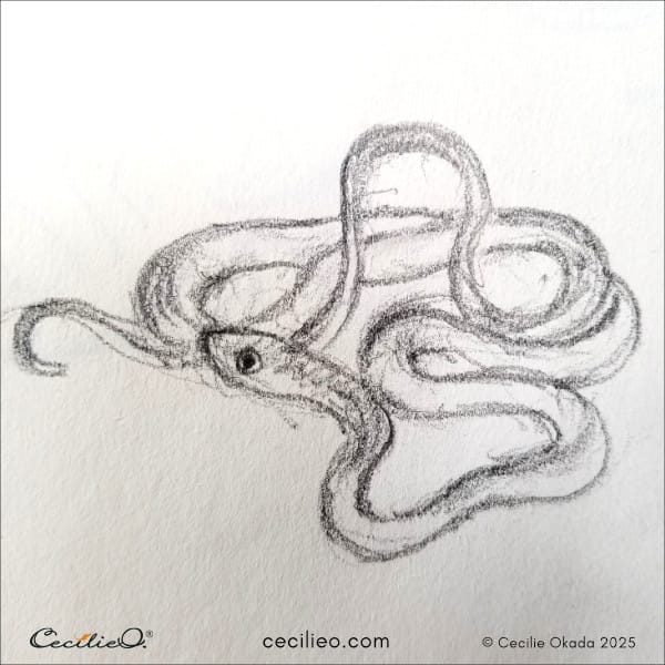 Snake sketch 3