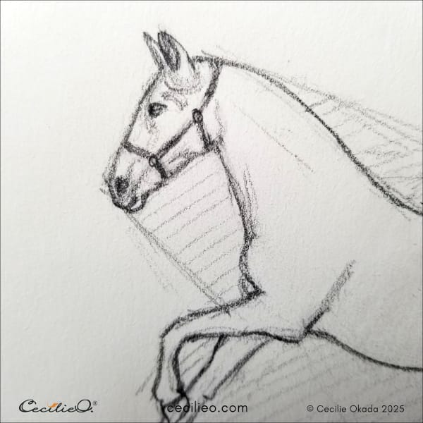 Drawing the details of the horse´s face.