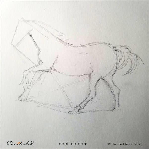 Drawing the outline of the horse using angles to get it right.