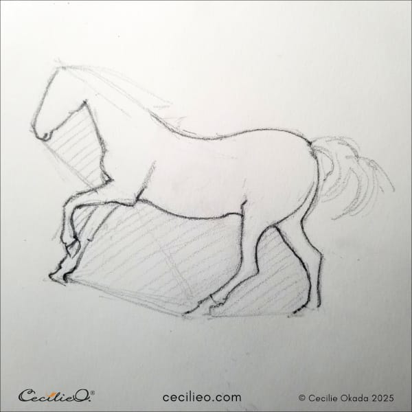 Drawing the final outline of the horse. 