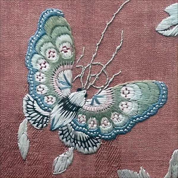 Inspiration butterfly 1