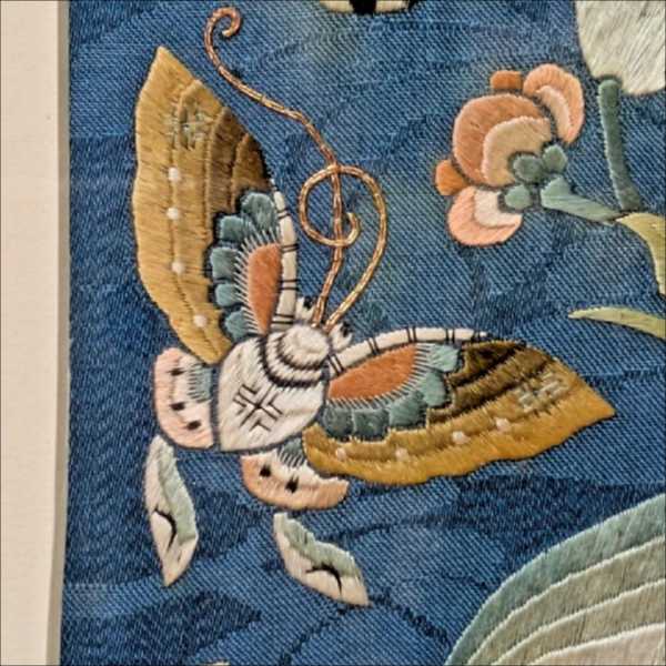 Inspiration butterfly 3