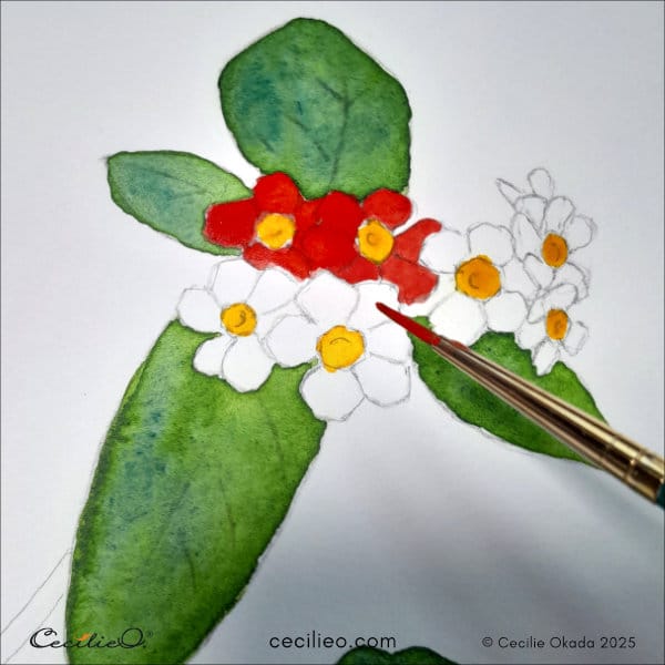 Painting the red flower petals 1