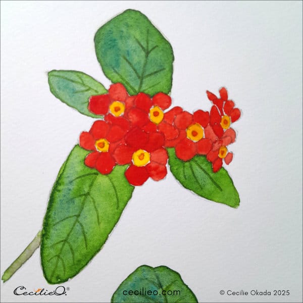 Painting the red flower petals 2