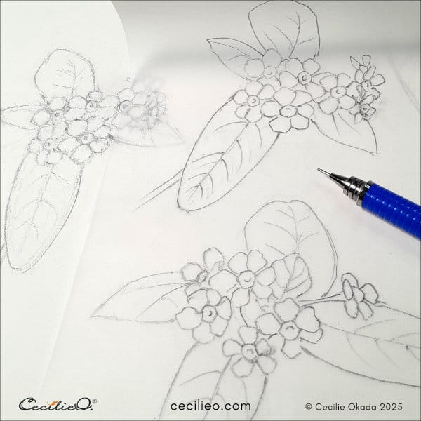 Transferring the flower sketch to watercolor paper 1