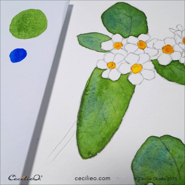 Painting the leaves with watercolor 2