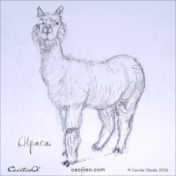 Light-hearted sketch of an alpaca with an innocent greeting.
