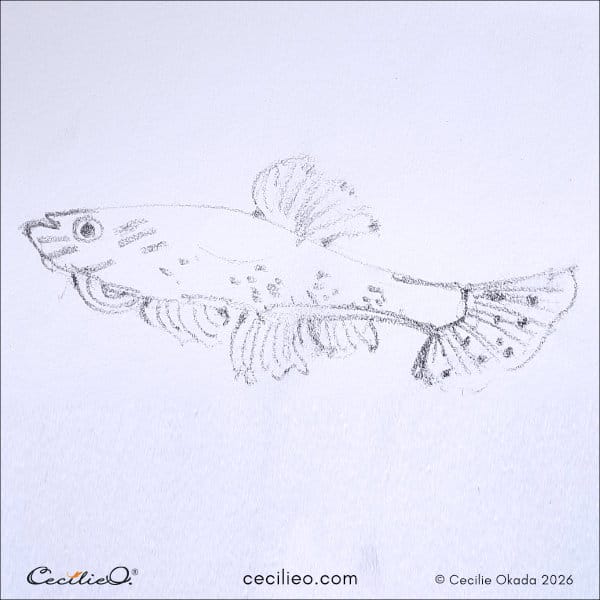 Wide-eyed sketch of a sand goby fish with a stunned expression.