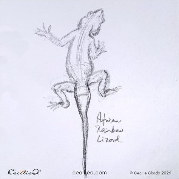 Quick 60-second sketch of a lizard with a curious head tilt.