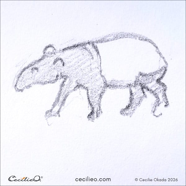 Single-line outline of a tapir capturing its heavy, sluggish movement.