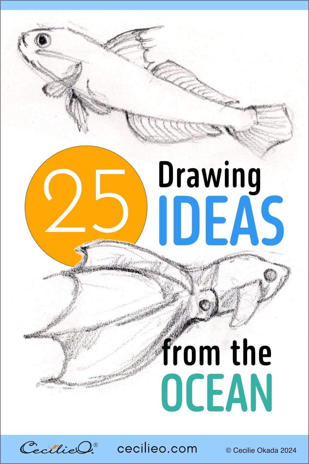 Explore marine life, and never run out of drawing ideas. Start drawing simple fish and continue with more exotic life forms. 