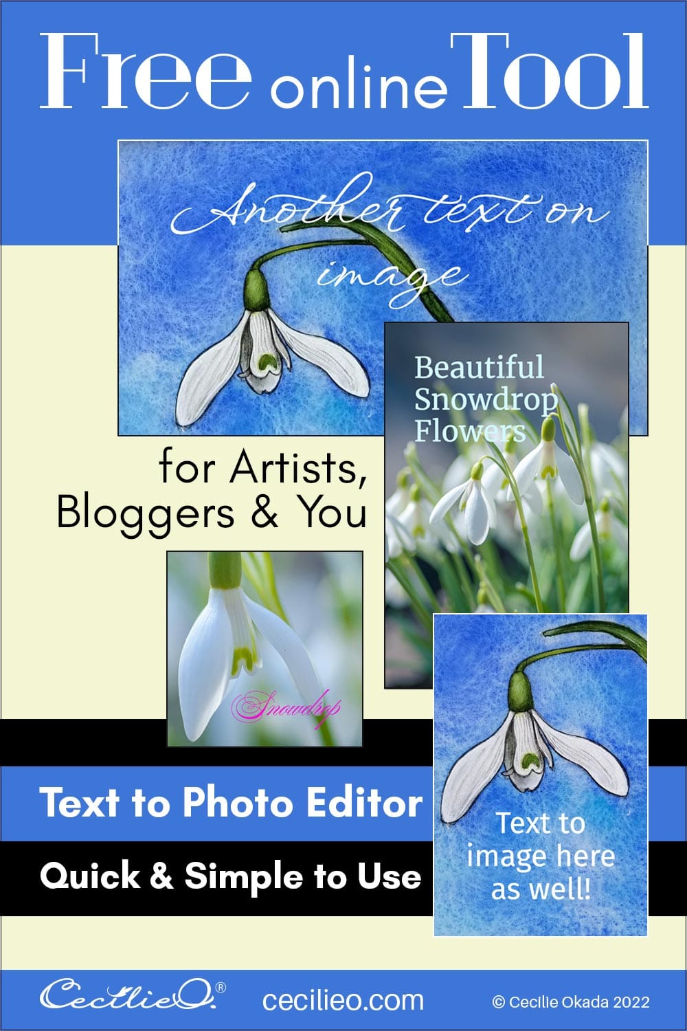 Add Text to Photo for Free: Our New Tool for Artists Post feature image