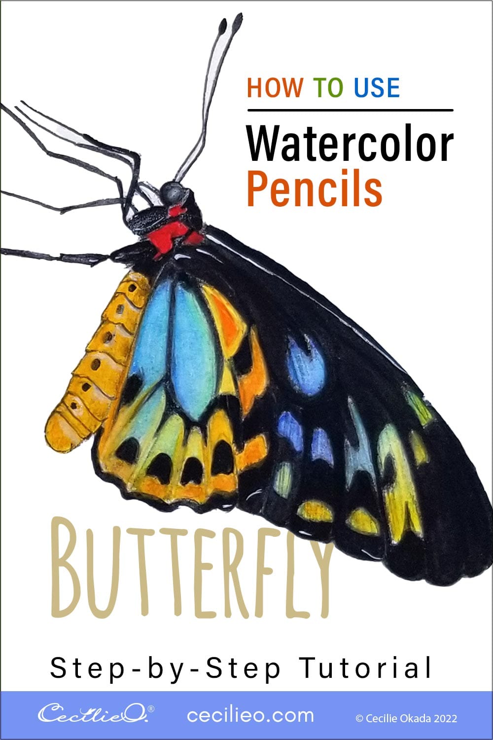 How to Use Watercolor Pencils: Colorful Butterfly
