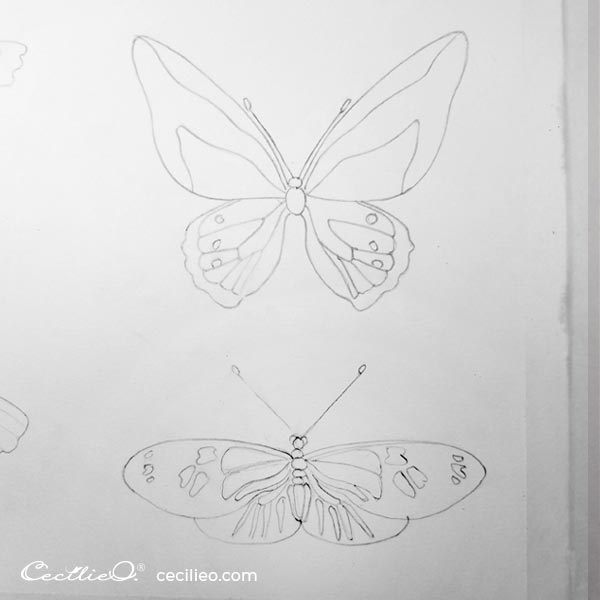 Completed butterfly drawings