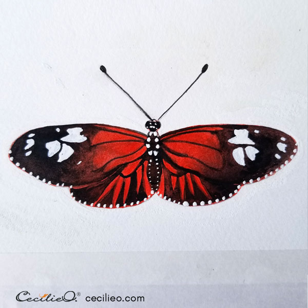 The completed butterfly, after cleaning up outlines with white gouache.