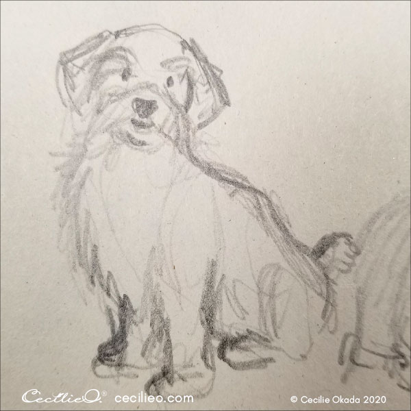 Dog sketch.