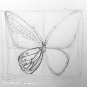 How to Draw & Watercolor Four Colorful Butterflies