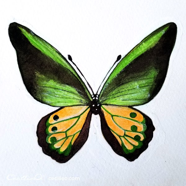 Completed green butterfly