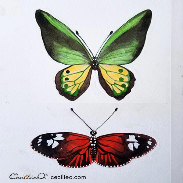 Two completed butterfly watercolors