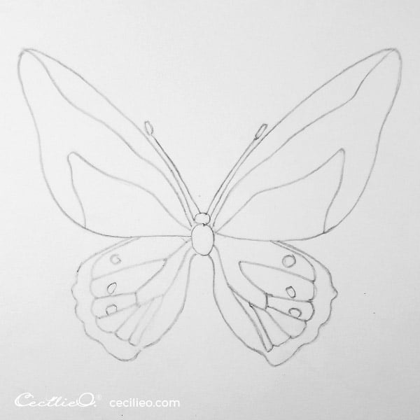 Completed butterfly drawing