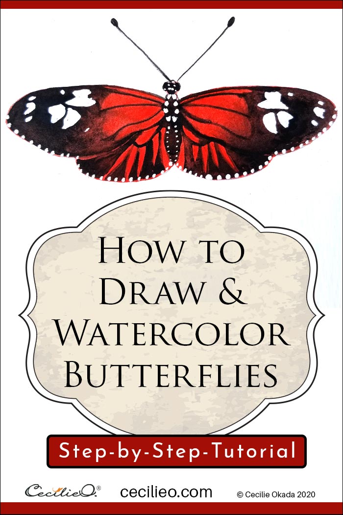 How to draw and watercolor butterflies. Step by step tutorial by Cecilie Okada.