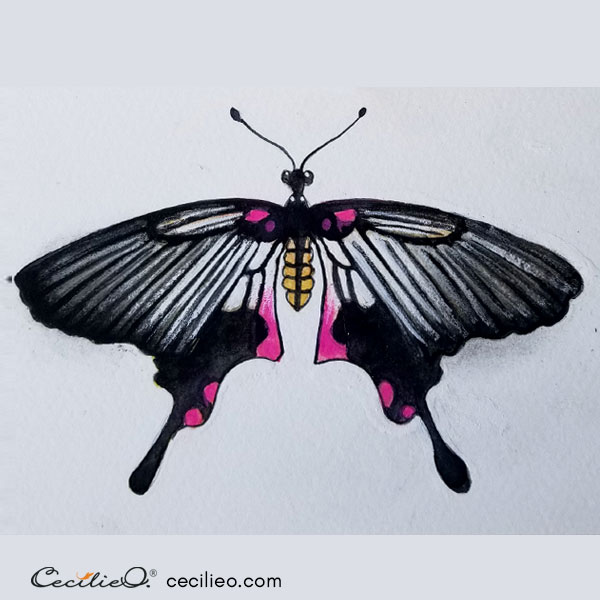 Completed swallowtail watercolor