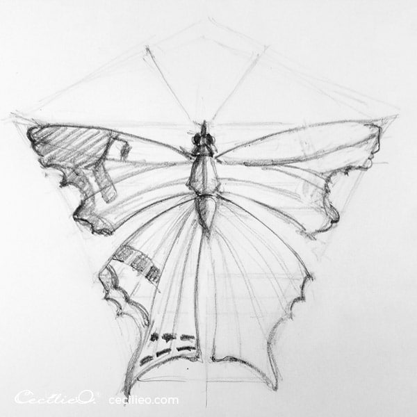 Draw the pattern on the left butterfly wing. 