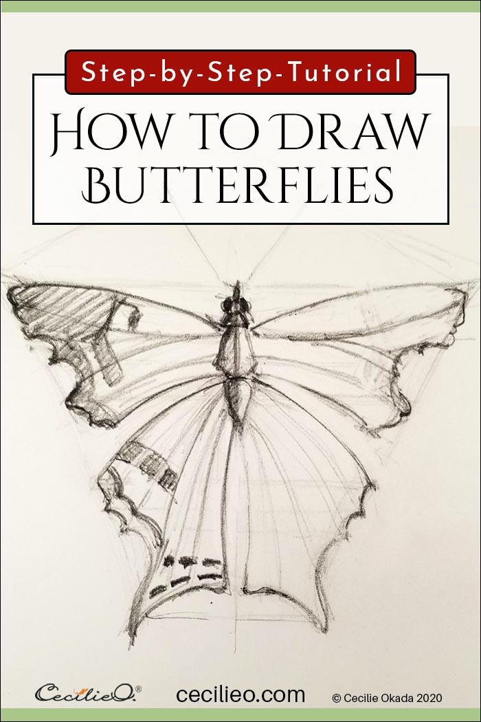 How to draw realistic butterflies. Step by step tutorial