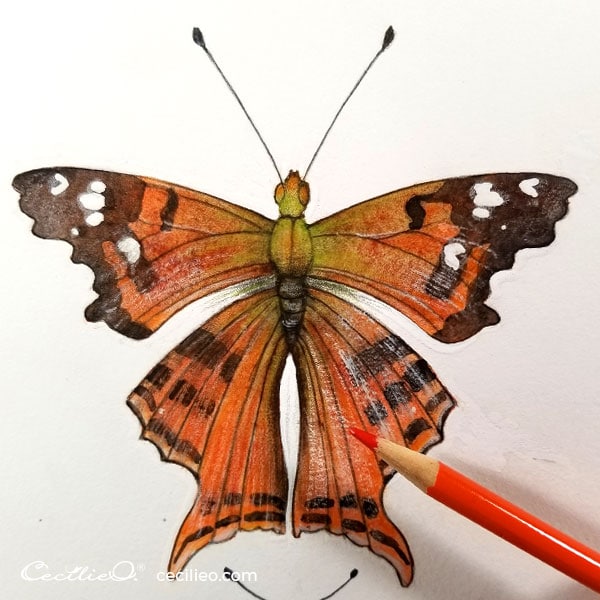 Retouching with colored pencils