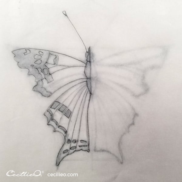 Place tracing paper over the drawing and draw the outline of the left side of the butterfly.