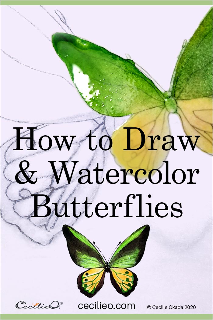 How to draw and watercolor butterflies. Step by step tutorial by Cecilie Okada.