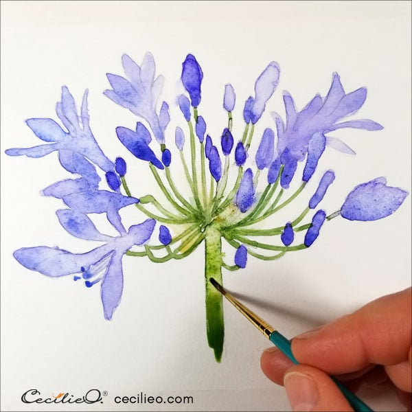 How to Watercolor Lily of the Nile, the Flower of Love