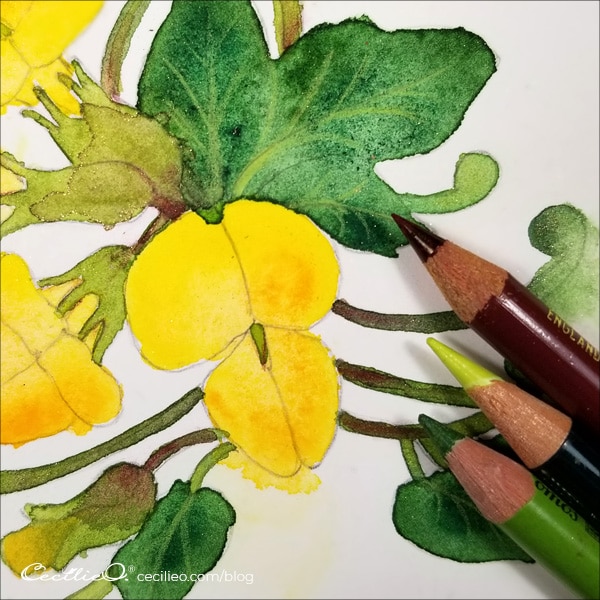 When the watercolors are all dry, draw in the veins of the leaves with colored pencils.