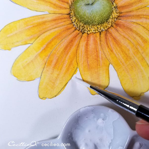 How To Watercolor A Realistic, Radiant Prairie Sunflower