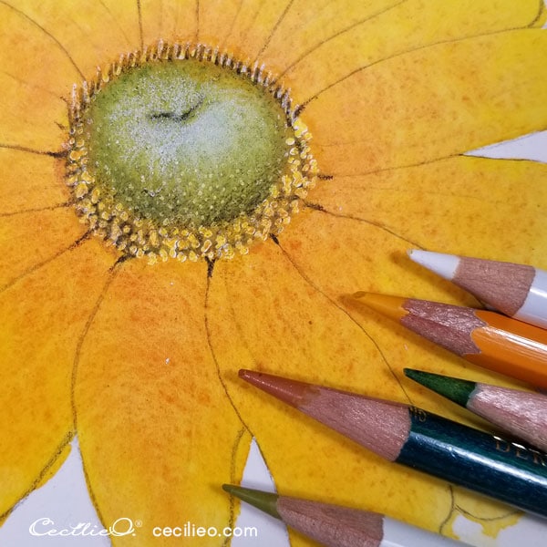 How to Watercolor a Realistic, Radiant Prairie Sunflower